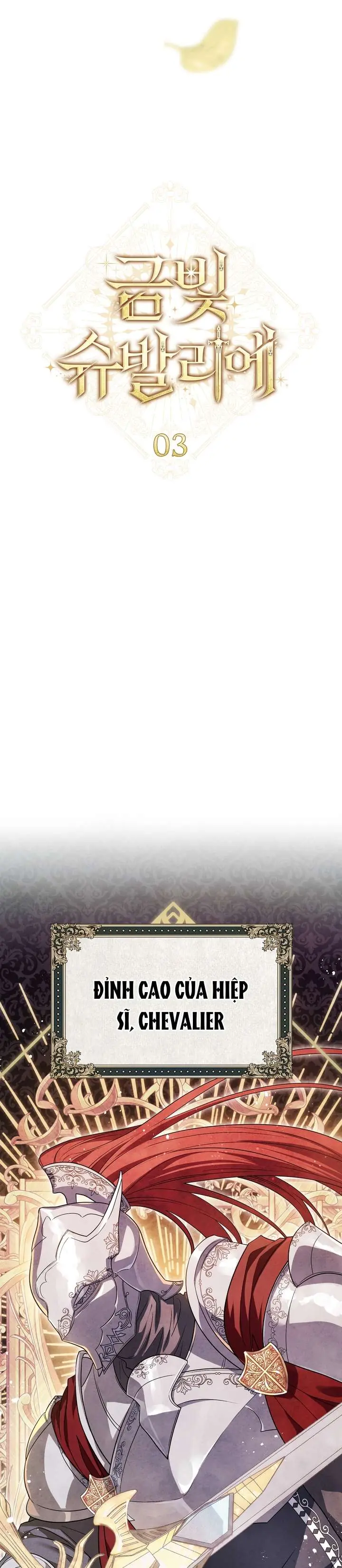 Hiệp Sĩ Vàng Chapter 3 - Trang 12