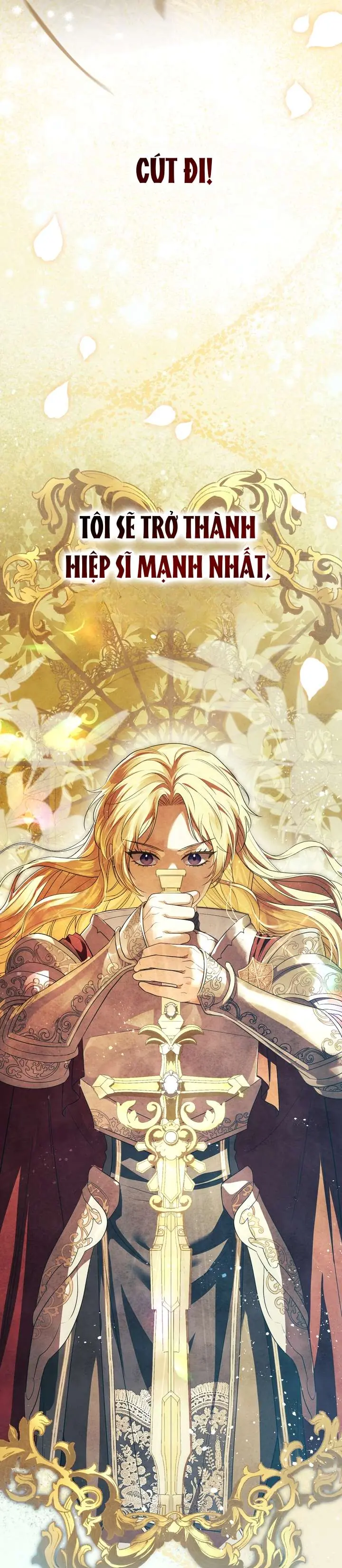 Hiệp Sĩ Vàng Chapter 3 - Trang 17