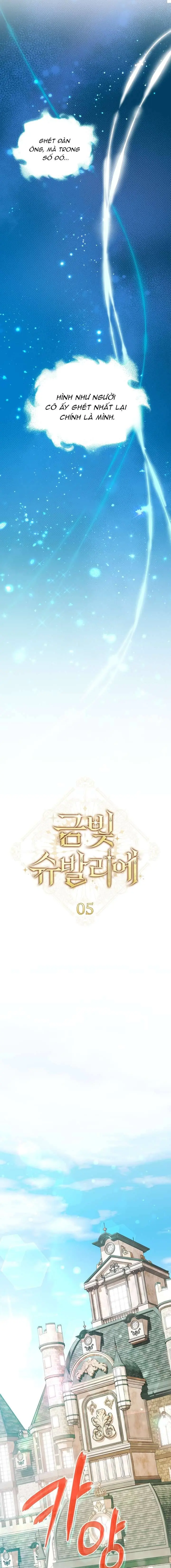 Hiệp Sĩ Vàng Chapter 5 - Trang 17