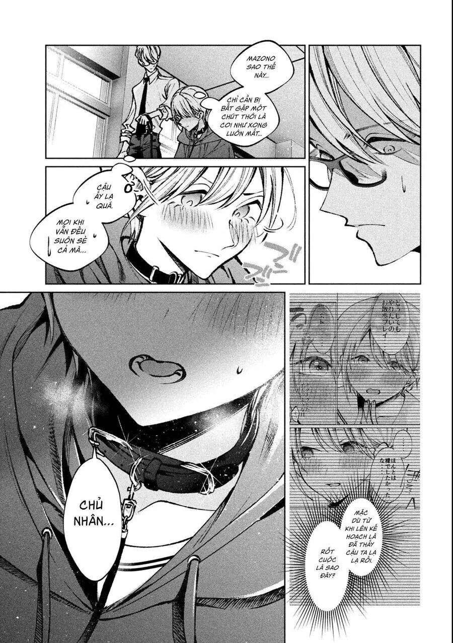 Hijiri Kun Chỉ Muốn Sống Thanh Liêm Chapter 29 - Trang 17
