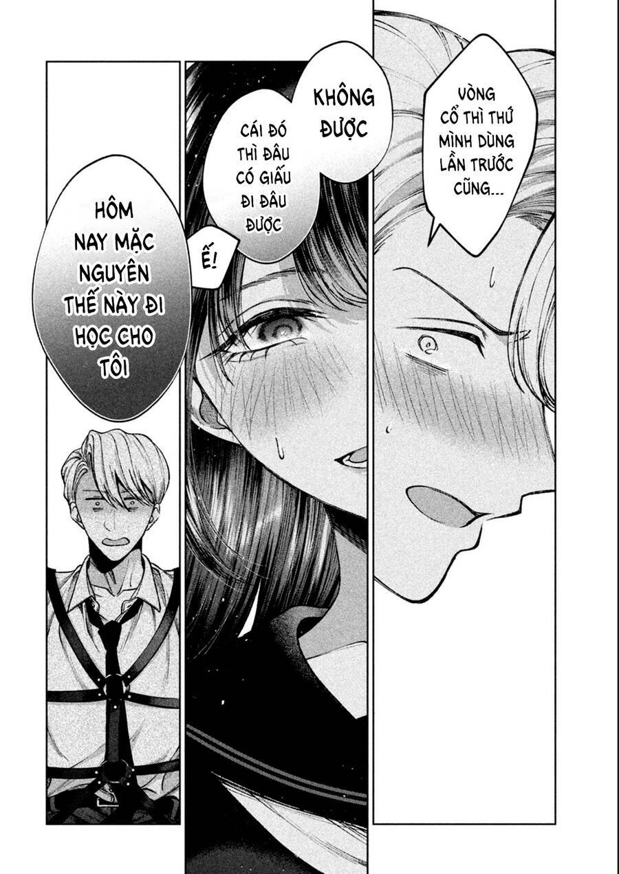 Hijiri Kun Chỉ Muốn Sống Thanh Liêm Chapter 6 - Trang 12