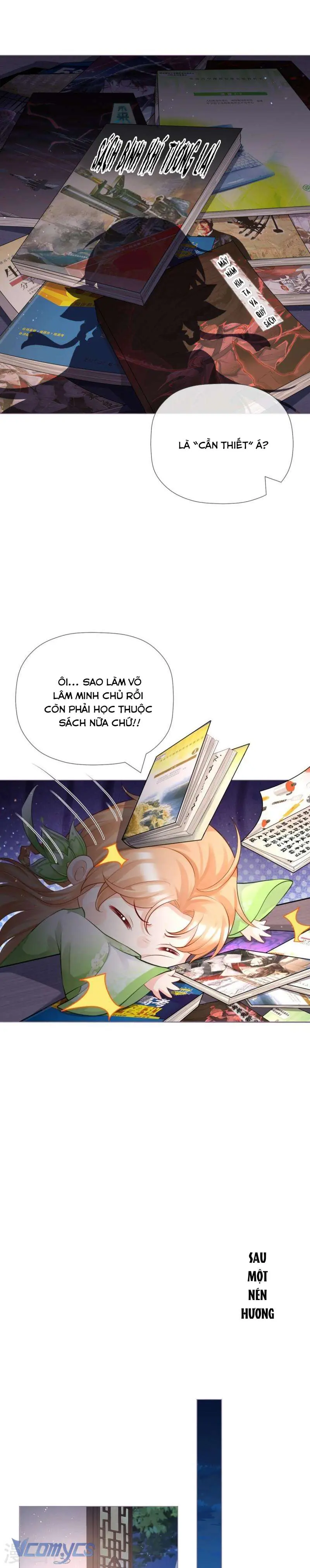 Hình Tượng Manh Chủ Lại Bị Phá Nát Rồi! Chapter 26 - Trang 7