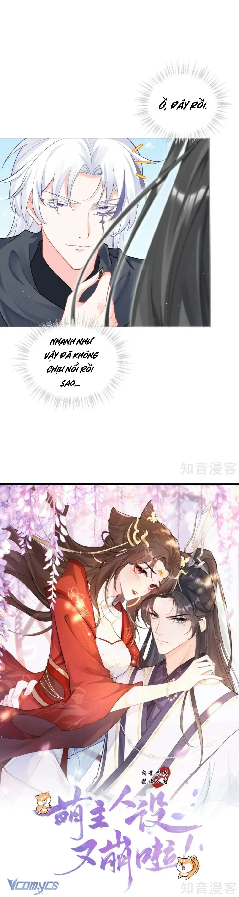 Hình Tượng Manh Chủ Lại Bị Phá Nát Rồi! Chapter 39 - Trang 3