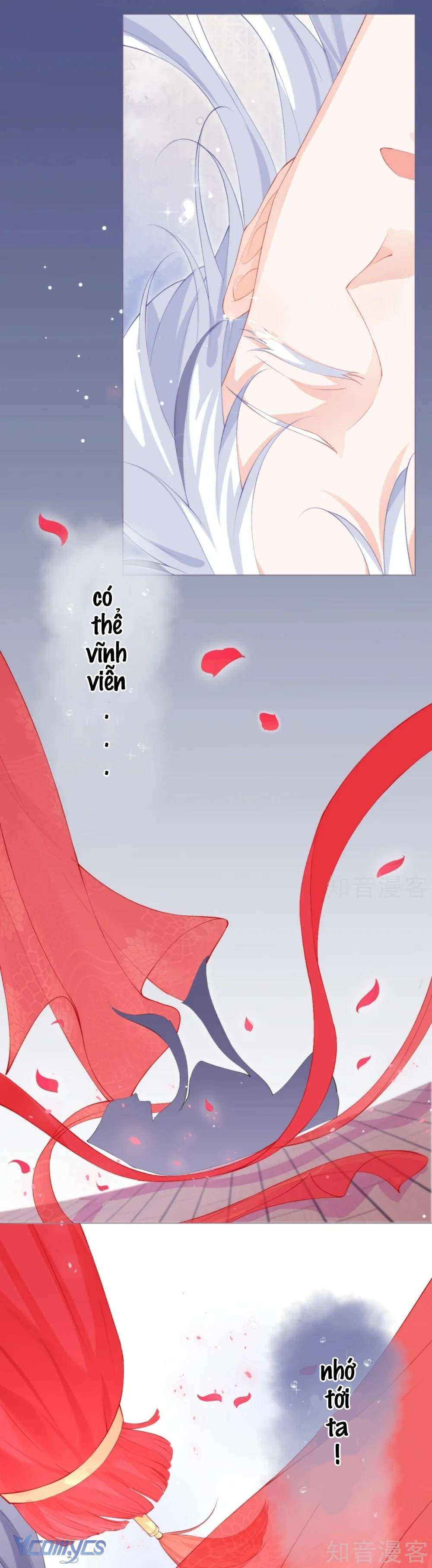 Hình Tượng Manh Chủ Lại Bị Phá Nát Rồi! Chapter 41 - Trang 20