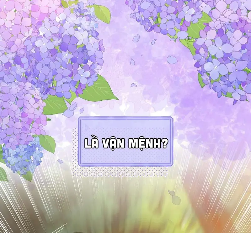 Hồ Ly Vẫn Luôn Nói Dối - Pheromone Chapter 0 - Trang 4