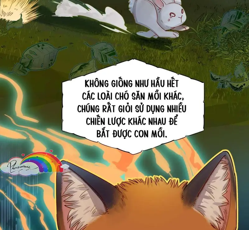 Hồ Ly Vẫn Luôn Nói Dối - Pheromone Chapter 1 - Trang 7