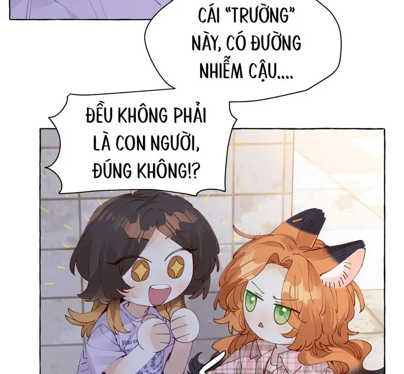 Hồ Ly Vẫn Luôn Nói Dối - Pheromone Chapter 10 - Trang 27