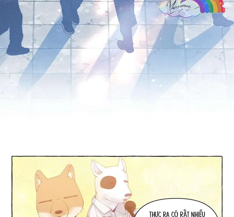 Hồ Ly Vẫn Luôn Nói Dối - Pheromone Chapter 10 - Trang 46