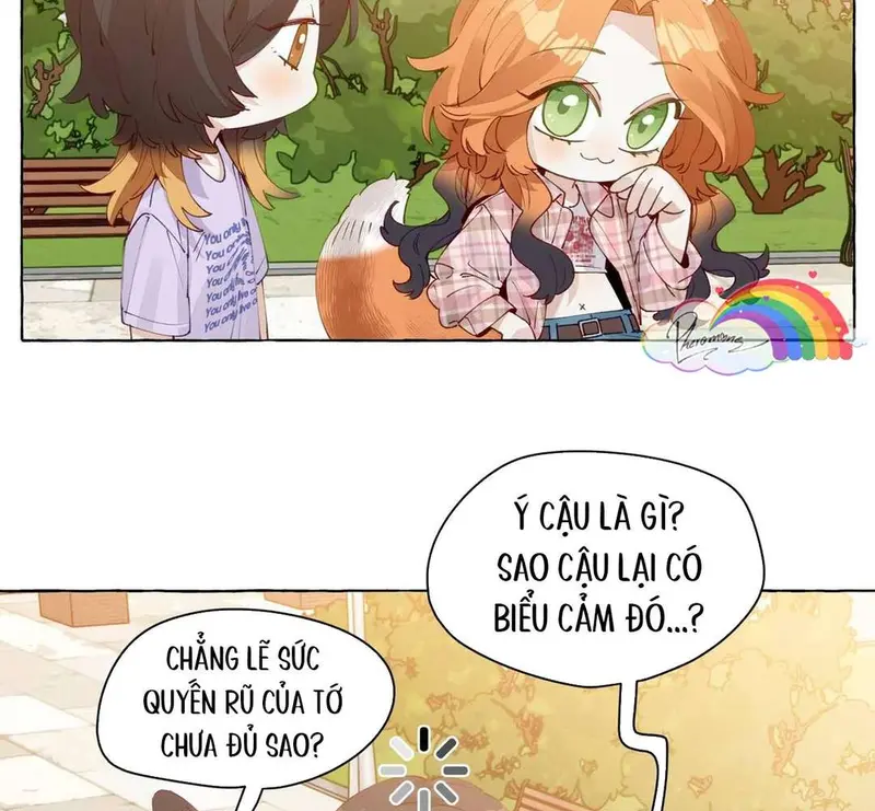 Hồ Ly Vẫn Luôn Nói Dối - Pheromone Chapter 11 - Trang 11