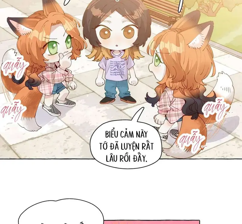 Hồ Ly Vẫn Luôn Nói Dối - Pheromone Chapter 11 - Trang 12