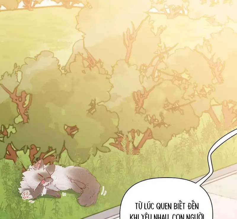 Hồ Ly Vẫn Luôn Nói Dối - Pheromone Chapter 12 - Trang 4