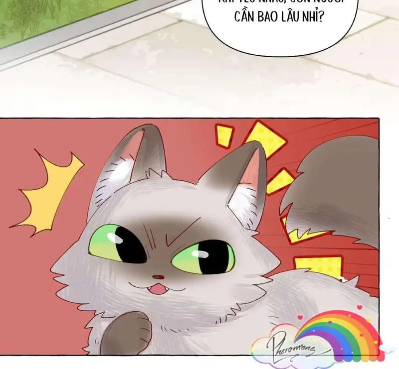 Hồ Ly Vẫn Luôn Nói Dối - Pheromone Chapter 12 - Trang 5