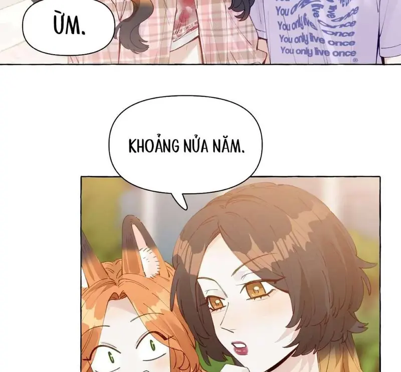 Hồ Ly Vẫn Luôn Nói Dối - Pheromone Chapter 12 - Trang 7