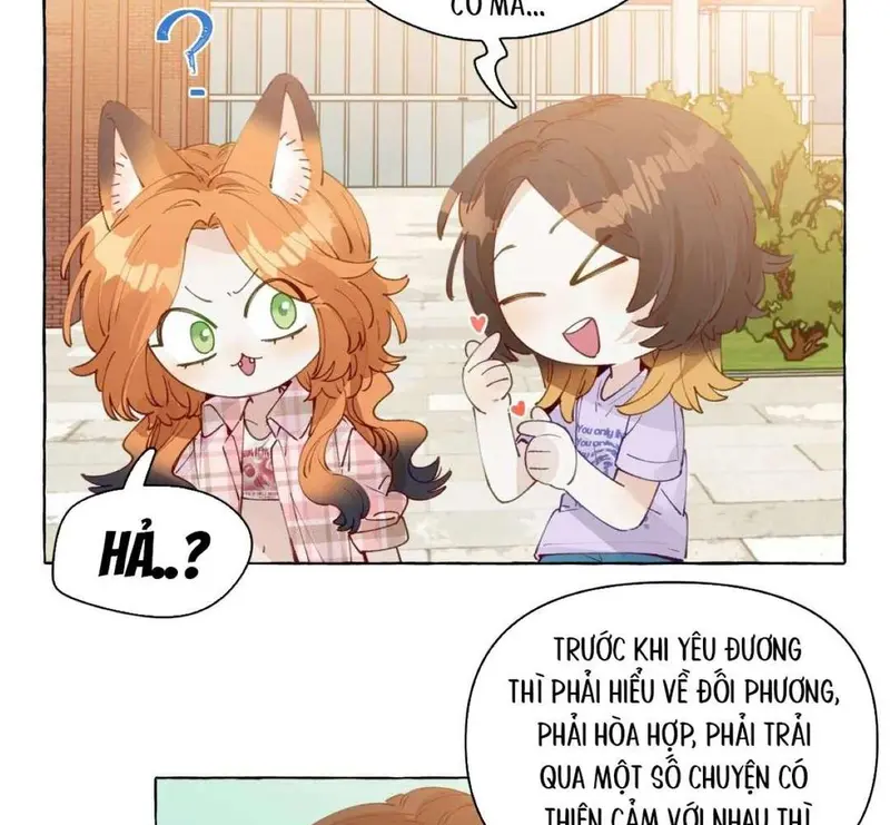 Hồ Ly Vẫn Luôn Nói Dối - Pheromone Chapter 12 - Trang 9