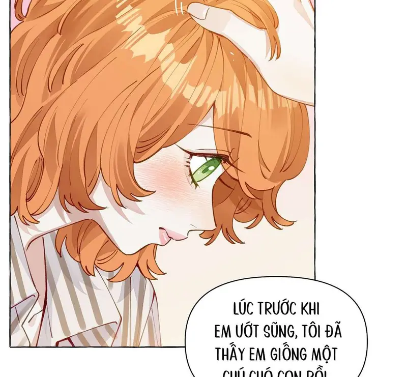 Hồ Ly Vẫn Luôn Nói Dối - Pheromone Chapter 13 - Trang 48