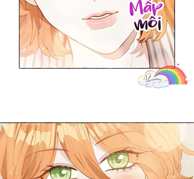 Hồ Ly Vẫn Luôn Nói Dối - Pheromone Chapter 14 - Trang 17
