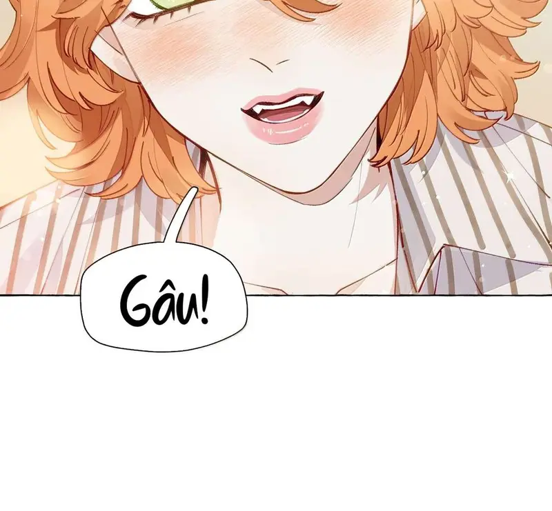 Hồ Ly Vẫn Luôn Nói Dối - Pheromone Chapter 14 - Trang 18