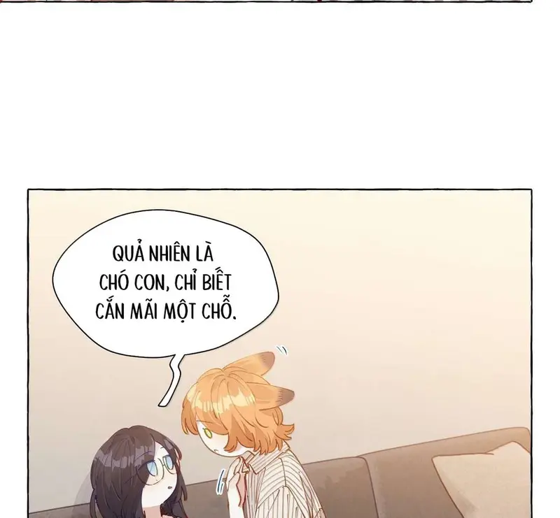 Hồ Ly Vẫn Luôn Nói Dối - Pheromone Chapter 14 - Trang 33