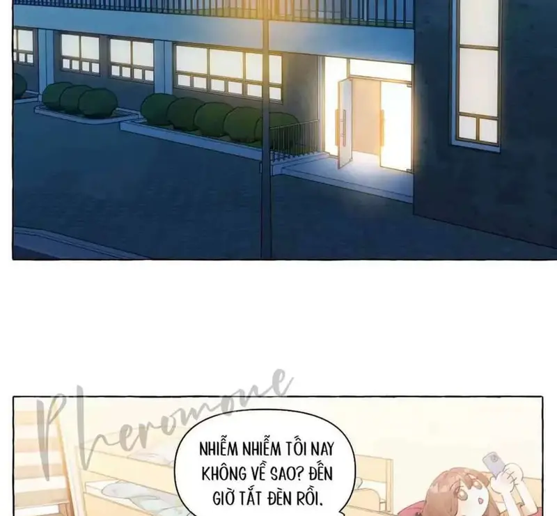 Hồ Ly Vẫn Luôn Nói Dối - Pheromone Chapter 15 - Trang 19