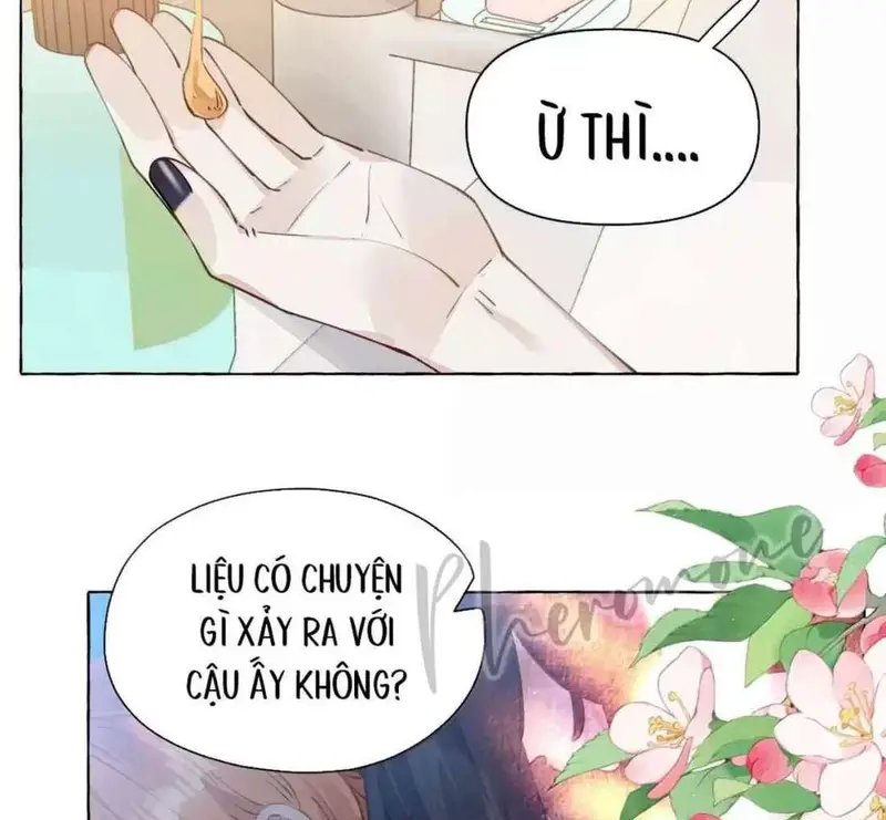 Hồ Ly Vẫn Luôn Nói Dối - Pheromone Chapter 15 - Trang 23