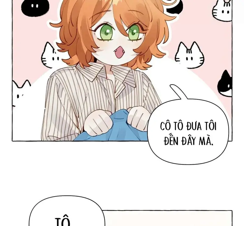 Hồ Ly Vẫn Luôn Nói Dối - Pheromone Chapter 16 - Trang 6