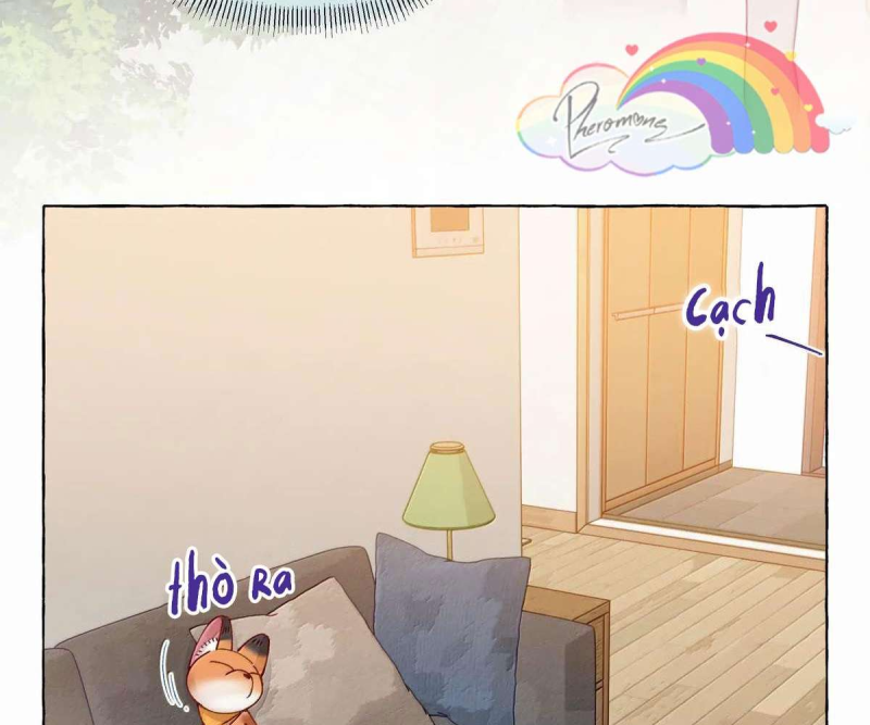 Hồ Ly Vẫn Luôn Nói Dối - Pheromone Chapter 18 - Trang 21