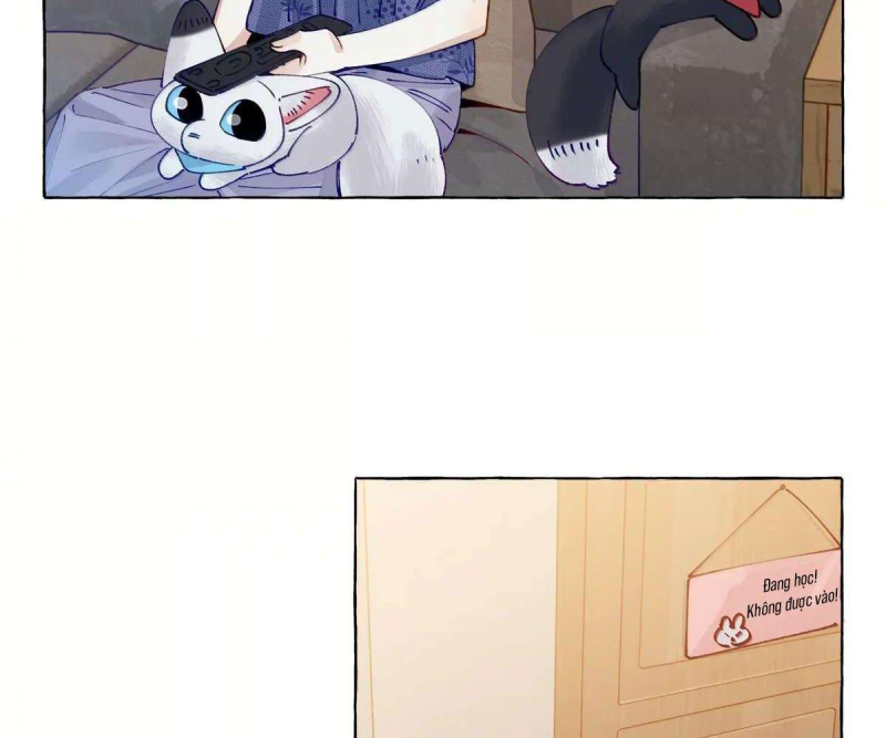Hồ Ly Vẫn Luôn Nói Dối - Pheromone Chapter 18 - Trang 35