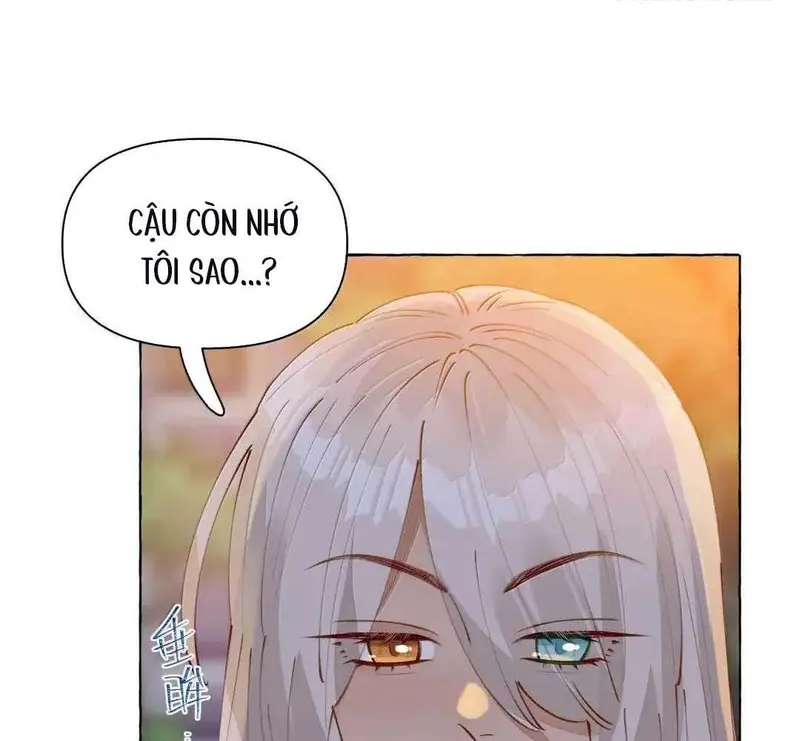 Hồ Ly Vẫn Luôn Nói Dối - Pheromone Chapter 22 - Trang 8