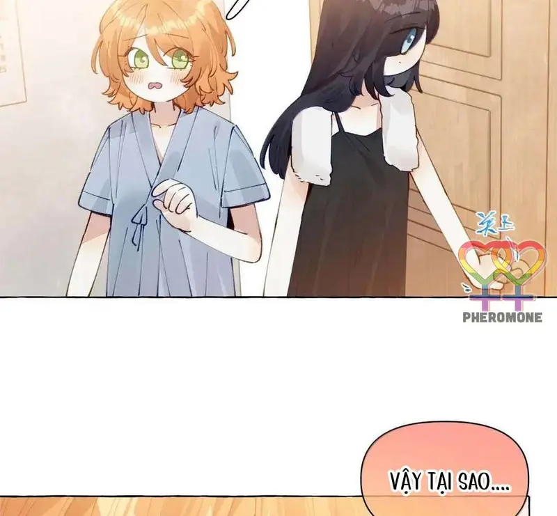 Hồ Ly Vẫn Luôn Nói Dối - Pheromone Chapter 23 - Trang 22