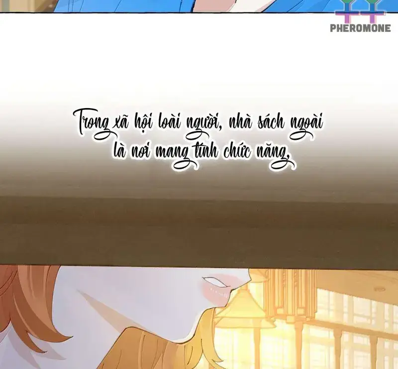 Hồ Ly Vẫn Luôn Nói Dối - Pheromone Chapter 27 - Trang 22