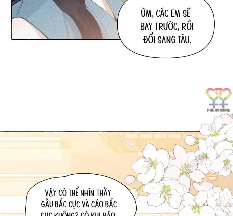 Hồ Ly Vẫn Luôn Nói Dối - Pheromone Chapter 30 - Trang 32