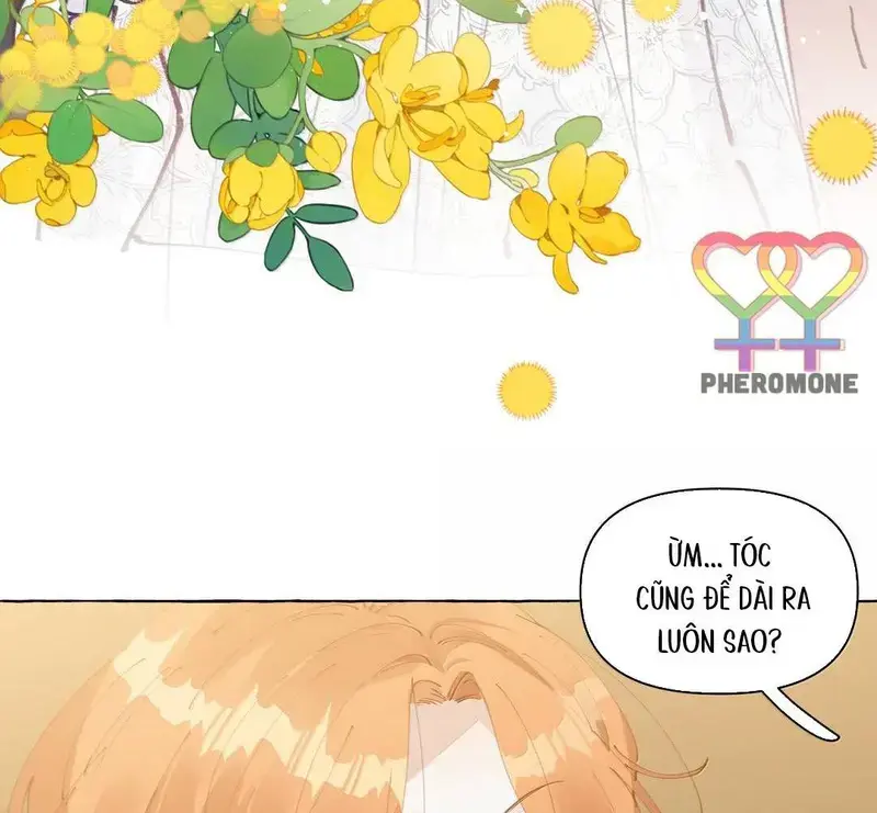 Hồ Ly Vẫn Luôn Nói Dối - Pheromone Chapter 31 - Trang 16