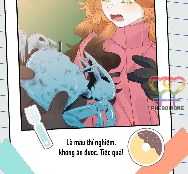 Hồ Ly Vẫn Luôn Nói Dối - Pheromone Chapter 32 - Trang 14