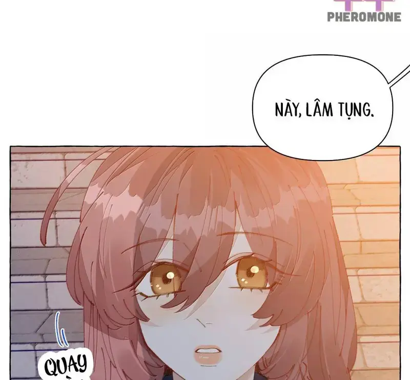 Hồ Ly Vẫn Luôn Nói Dối - Pheromone Chapter 33 - Trang 47
