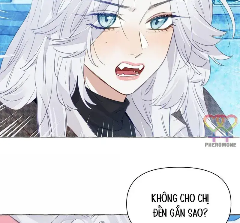 Hồ Ly Vẫn Luôn Nói Dối - Pheromone Chapter 36 - Trang 28