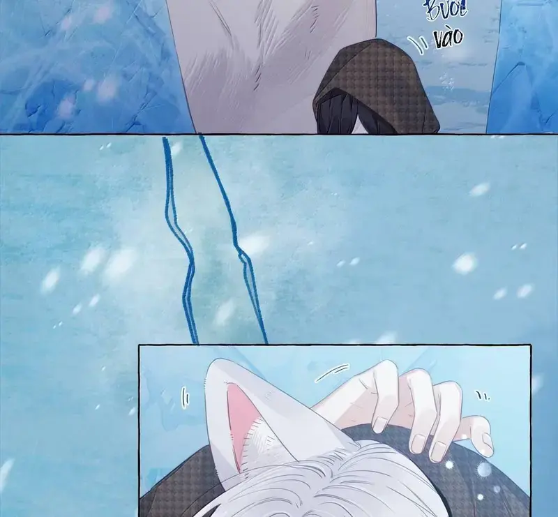 Hồ Ly Vẫn Luôn Nói Dối - Pheromone Chapter 36 - Trang 4