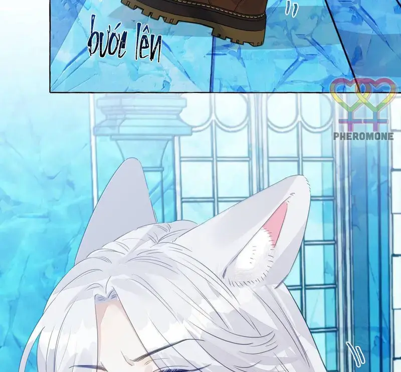 Hồ Ly Vẫn Luôn Nói Dối - Pheromone Chapter 36 - Trang 43