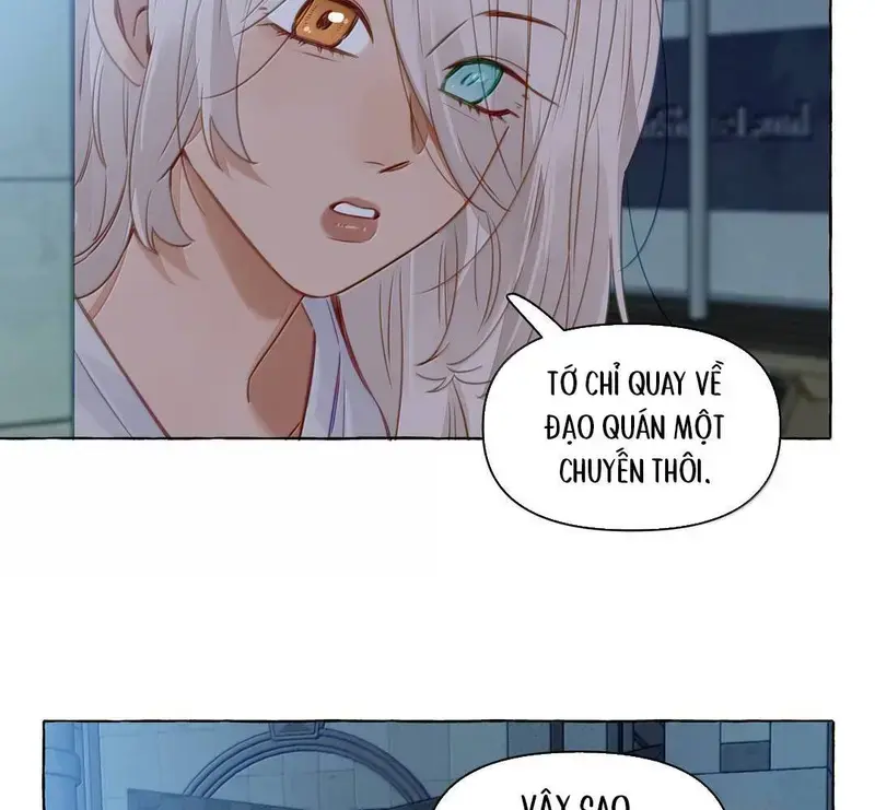 Hồ Ly Vẫn Luôn Nói Dối - Pheromone Chapter 37 - Trang 22
