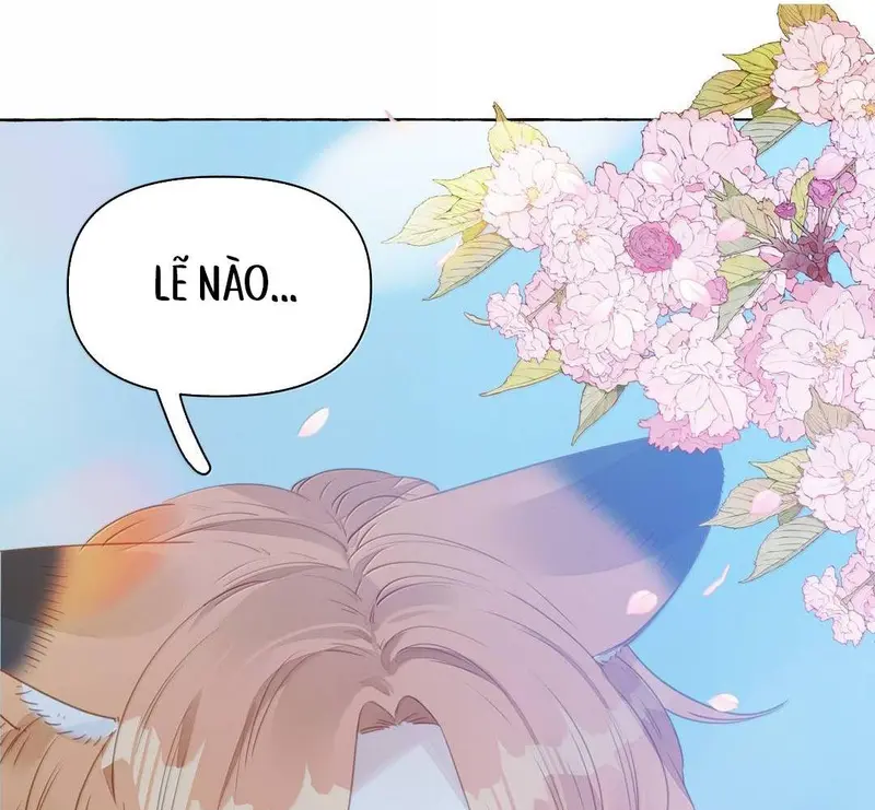 Hồ Ly Vẫn Luôn Nói Dối - Pheromone Chapter 38 - Trang 29