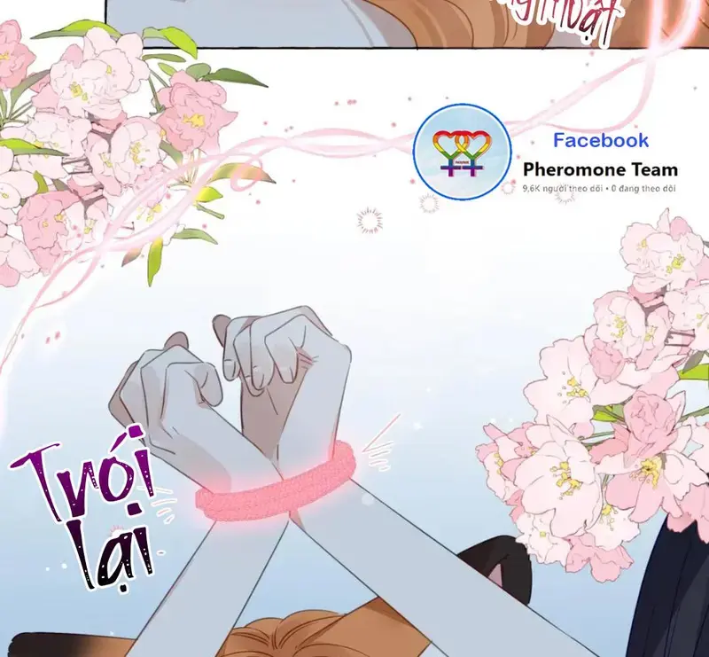 Hồ Ly Vẫn Luôn Nói Dối - Pheromone Chapter 39 - Trang 23