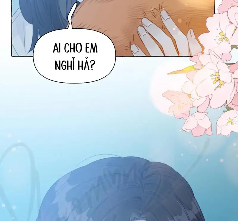 Hồ Ly Vẫn Luôn Nói Dối - Pheromone Chapter 39 - Trang 44