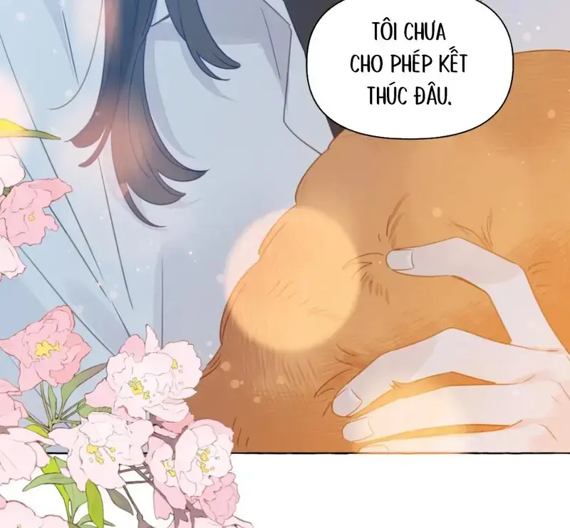 Hồ Ly Vẫn Luôn Nói Dối - Pheromone Chapter 39 - Trang 46
