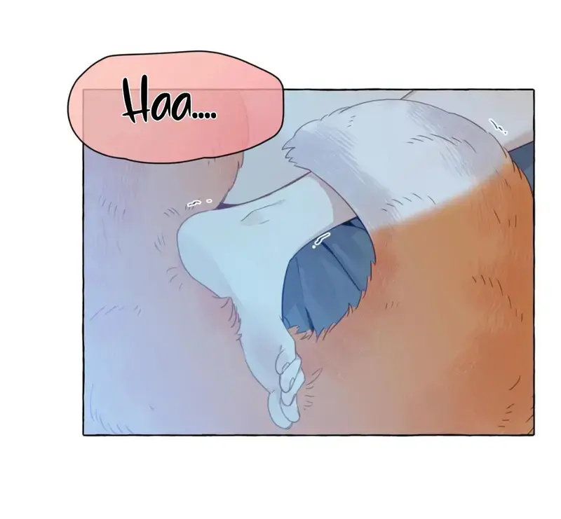 Hồ Ly Vẫn Luôn Nói Dối - Pheromone Chapter 39 - Trang 5