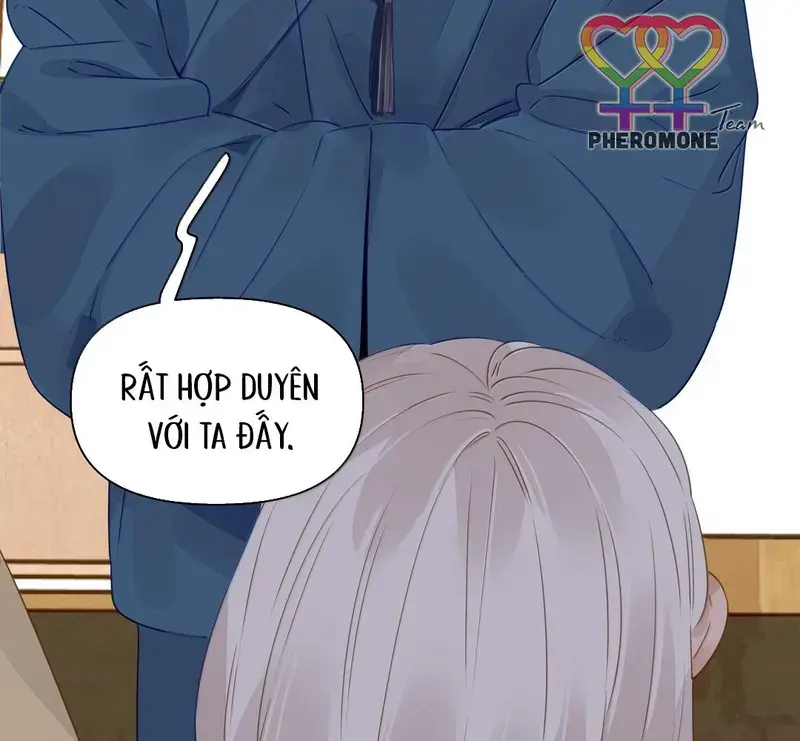 Hồ Ly Vẫn Luôn Nói Dối - Pheromone Chapter 41 - Trang 8