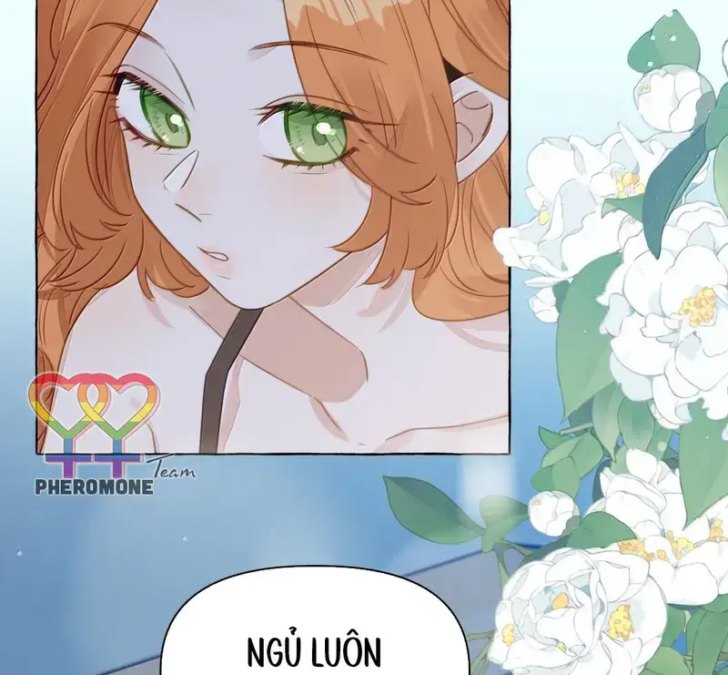 Hồ Ly Vẫn Luôn Nói Dối - Pheromone Chapter 42 - Trang 5