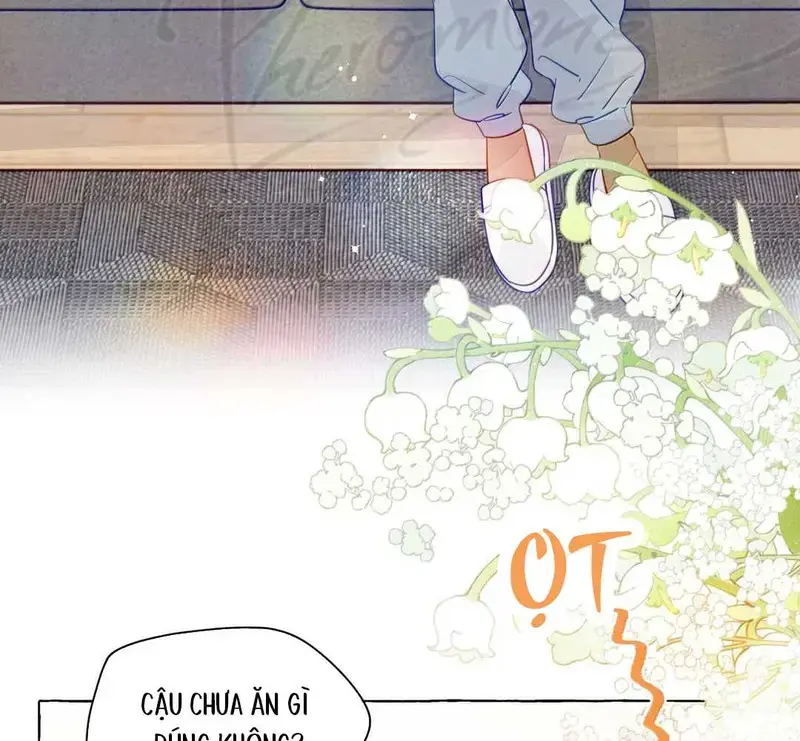 Hồ Ly Vẫn Luôn Nói Dối - Pheromone Chapter 43 - Trang 17