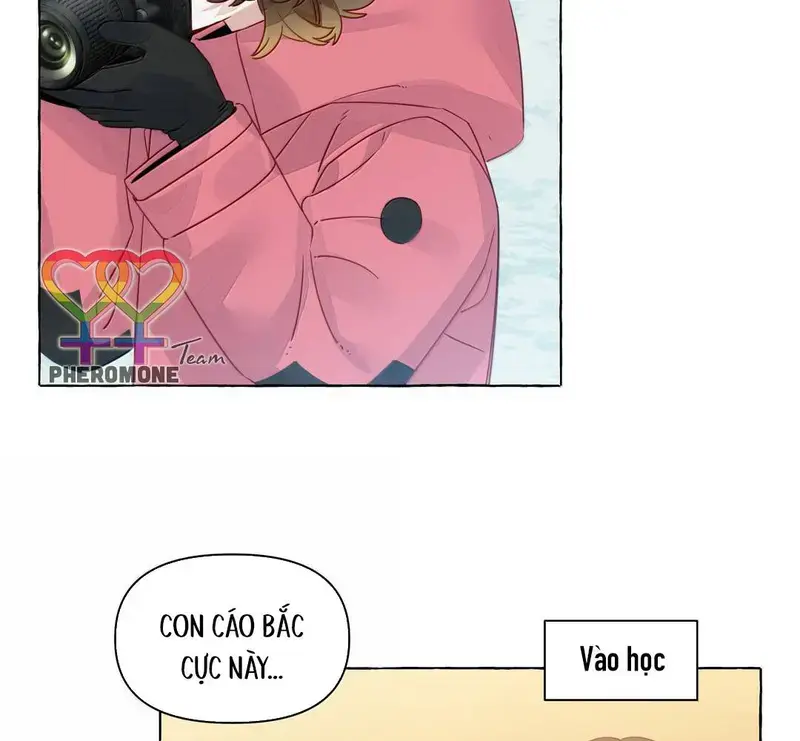 Hồ Ly Vẫn Luôn Nói Dối - Pheromone Chapter 44 - Trang 5