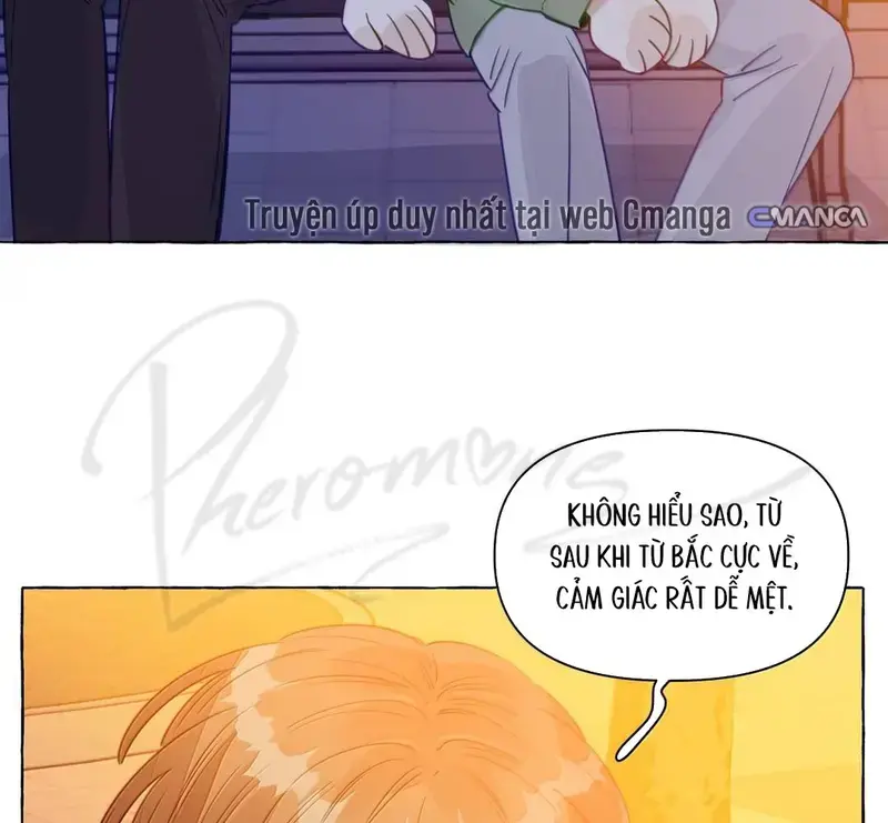 Hồ Ly Vẫn Luôn Nói Dối - Pheromone Chapter 45 - Trang 46