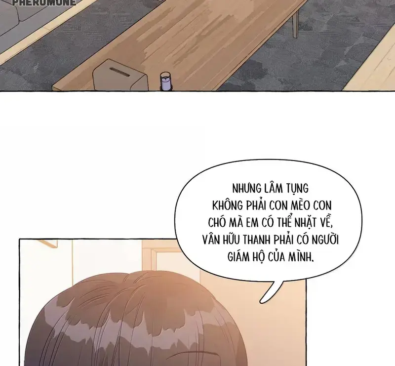 Hồ Ly Vẫn Luôn Nói Dối - Pheromone Chapter 45 - Trang 7