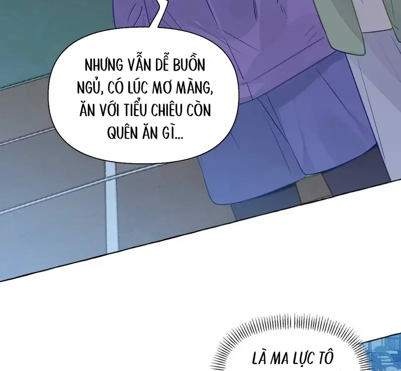 Hồ Ly Vẫn Luôn Nói Dối - Pheromone Chapter 47 - Trang 27